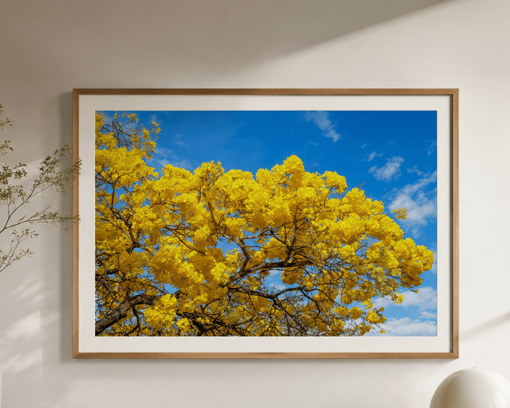 fotografia-fine-art-natureza-brasileira-residencia-lago-sul-brasilia-lucas-monteiro