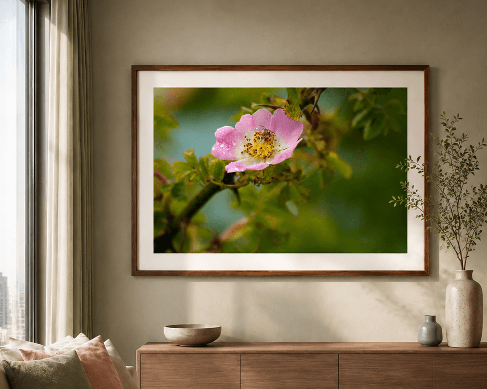 fotografia-fine-art-flora-brasileira-apartamento-jardins-sao-paulo-lucas-monteiro